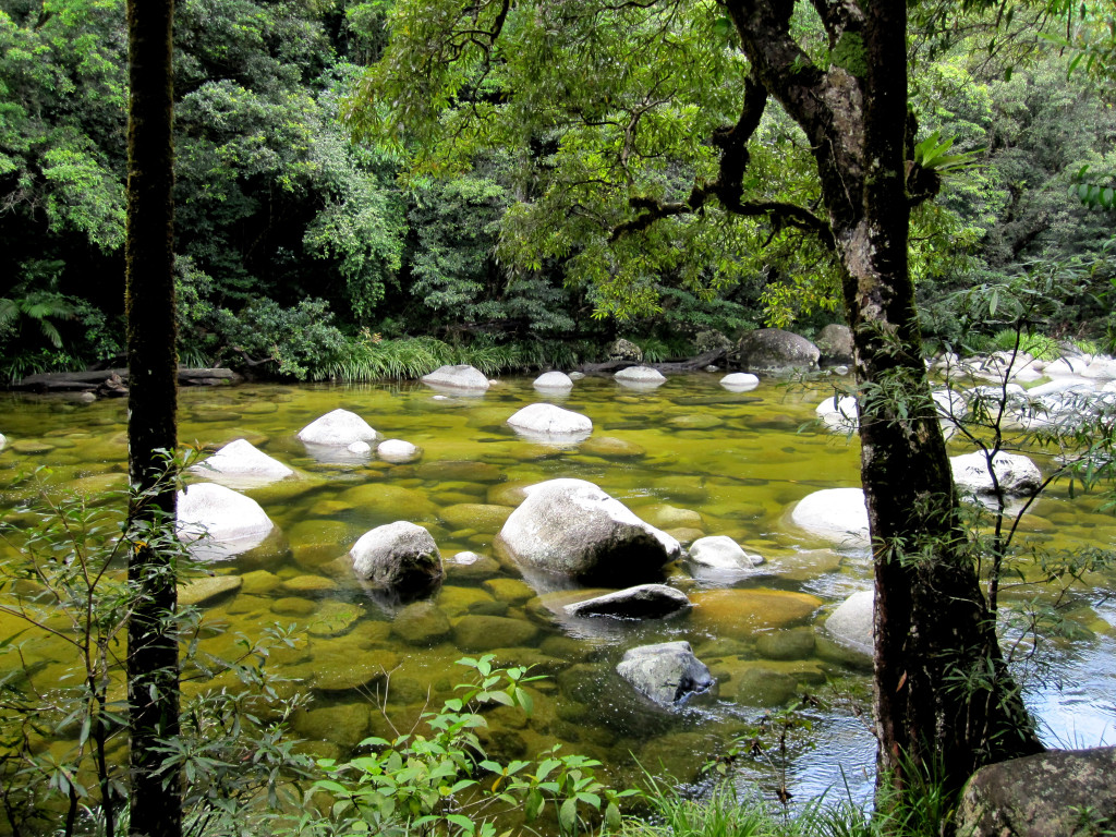 Mossman Gorge, Daintree Forest