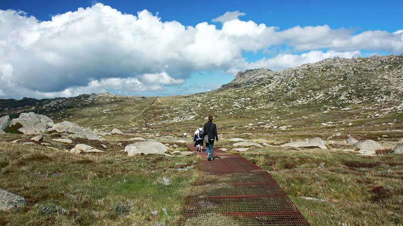 Australian-adventures,-Mt-Kosciusko-walk---Andrea-Schaffer