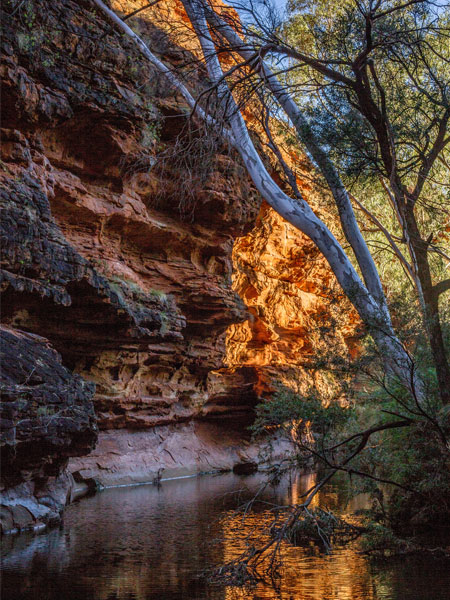 Uluru-billabong---Lucy-Piper