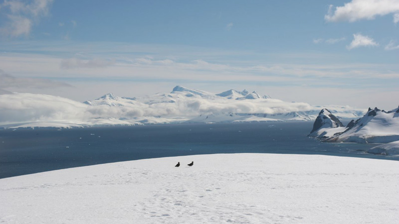 Antarctica---Tak