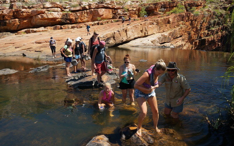 Crossing streams with each other’s help. Photo by Michael