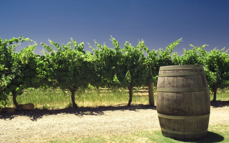 wine barrel at Swan Valley winery