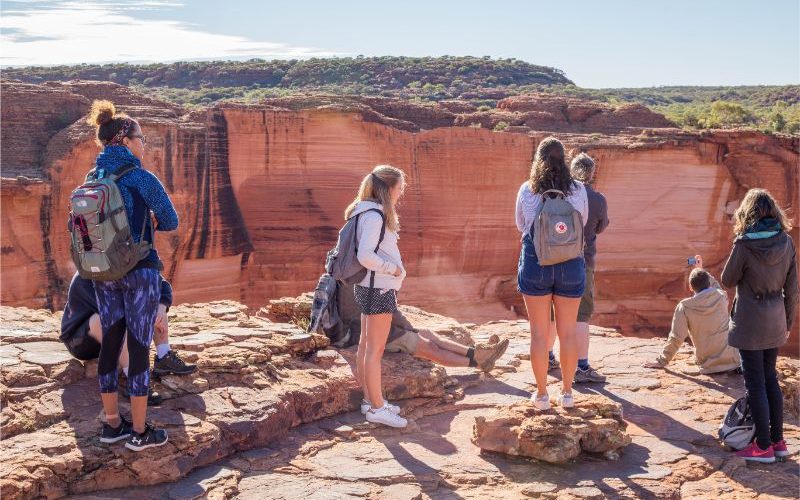 group of people looking into kings canyon