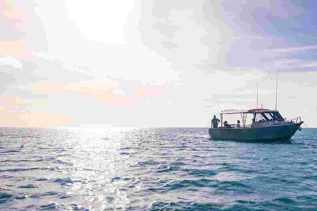 Take a boat trip from Bremer Island in Arnhem Land in the Northern Territory of Australia Take a boat trip from Bremer Island in Arnhem Land in the Northern Territory of Australia