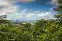 Tropical Landscape Tropical Landscape