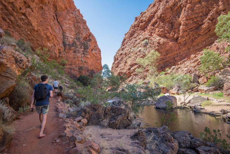 Try one of the nature walks at Simpsons Gap.
