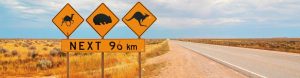Camel, Koala and Kangaroo sign on the Nullabor