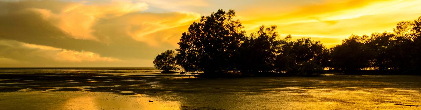Sunset over the mangroves in Darwin, Northern Territory