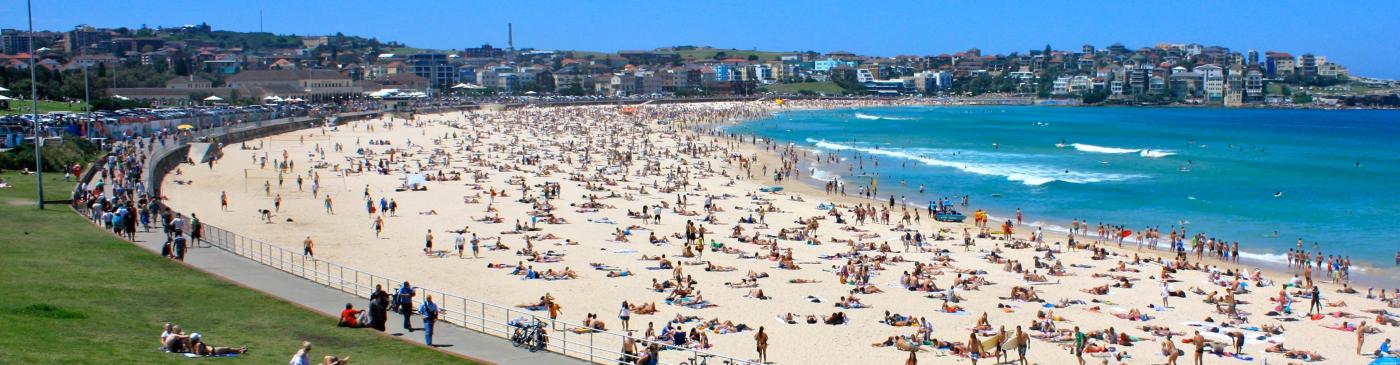 Sydney Bondi Beach Surfing Summer New South Wales