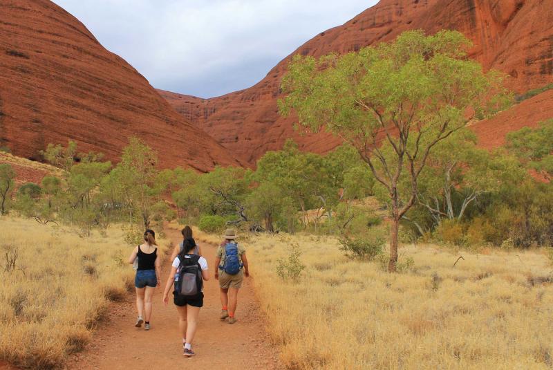 Uluru Tour with Kings Canyon & MacDonnell Ranges Astronomy