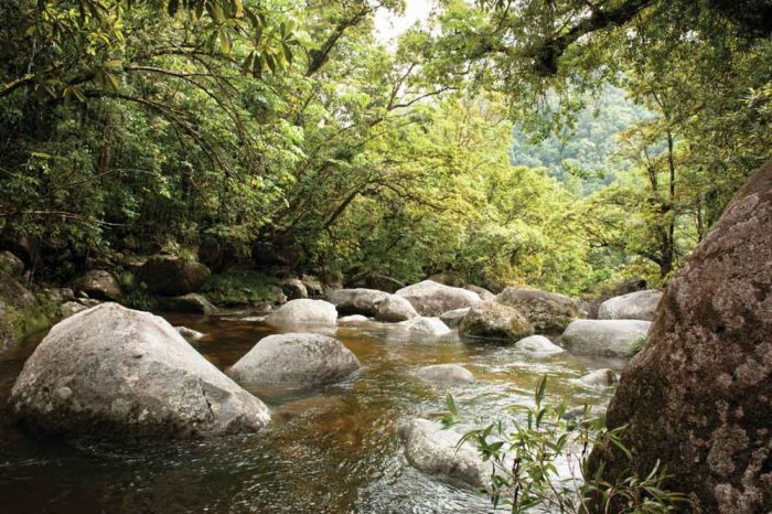 Weekday Wanderlust: Mossman Gorge, Queensland