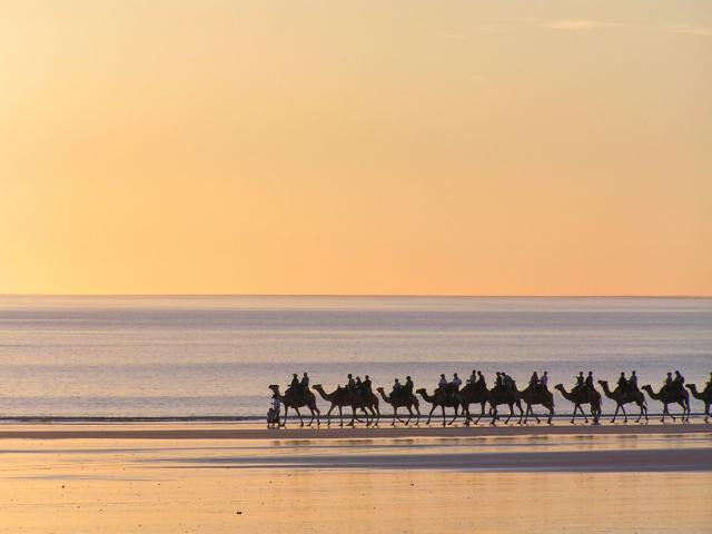 Map of The Great Kimberley Overland camels on beach in Broome
