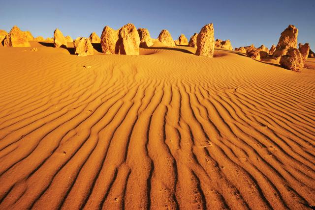 Pinnacles desert national park in Western Australia Pinnacles desert national park in Western Australia