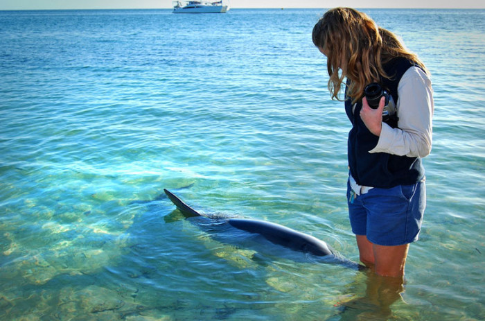 5 new friends you’ll make Down Under