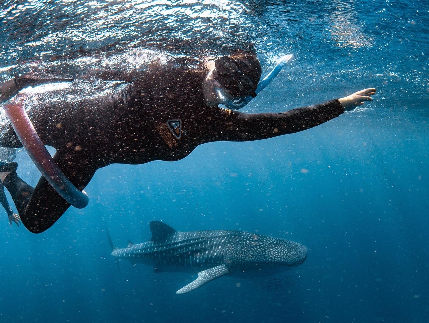 4B8AAF16-7970-495A-AEE5-11EE6C64B63C
