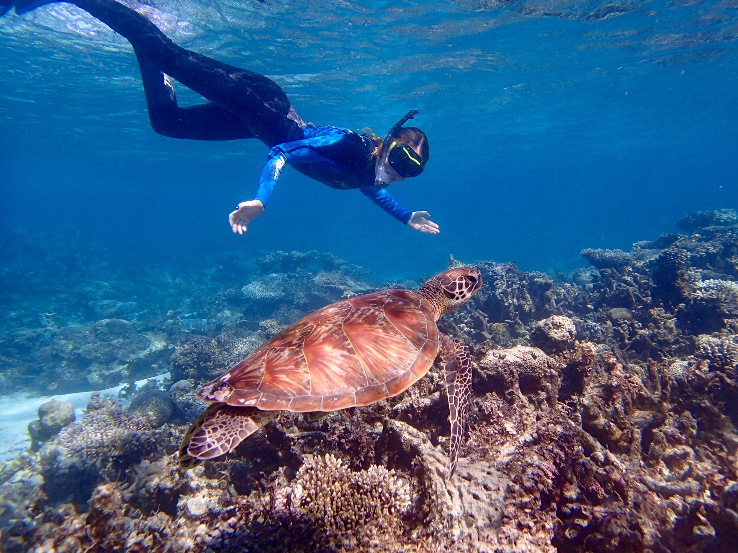 Perth to Exmouth & Return Tour (Reverse Itinerary)
