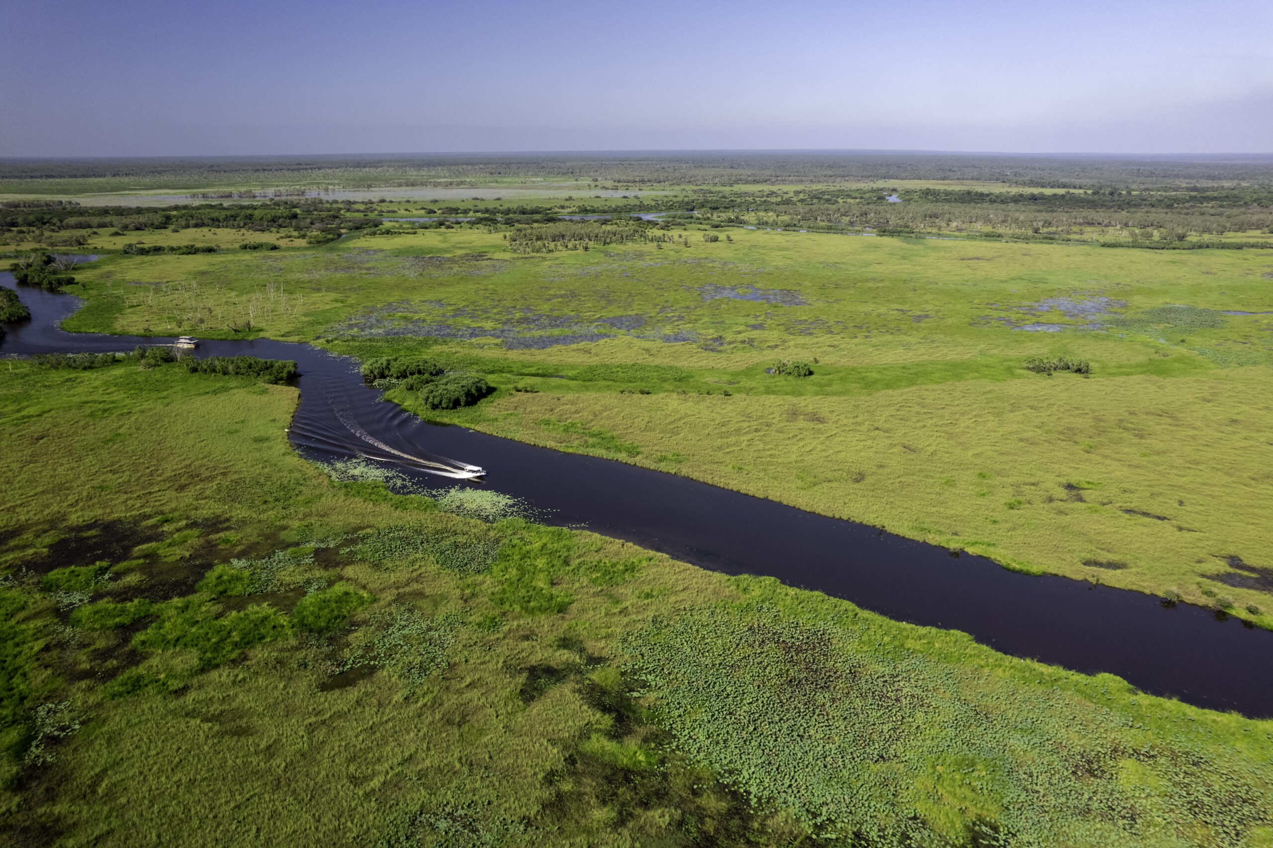 Wildlands Wetlands Safari Cruises

