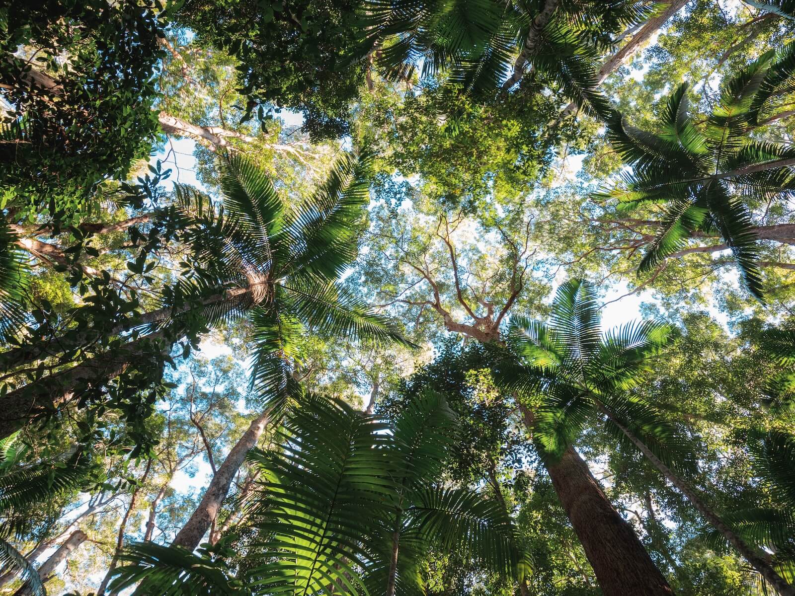The Twelve Apostles at sunset