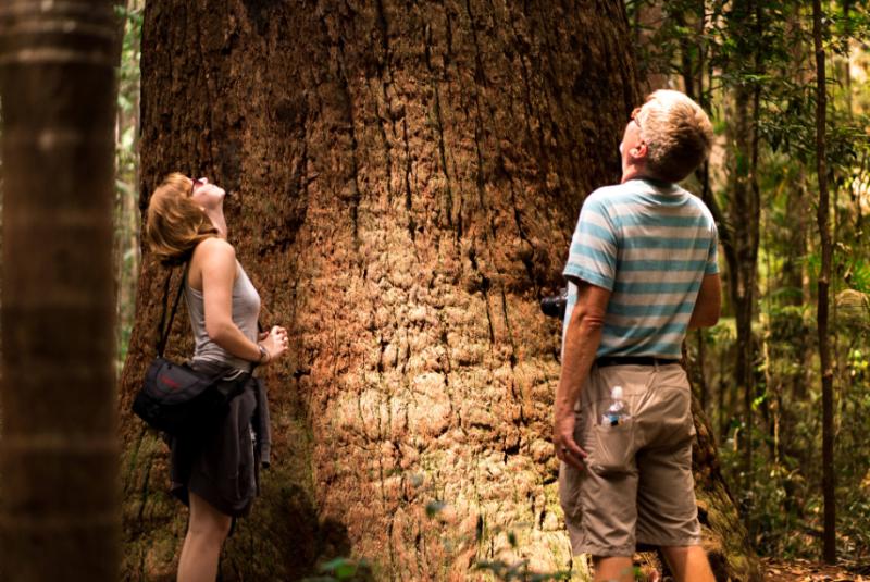 K’gari (Fraser Island) 2 Day Tour